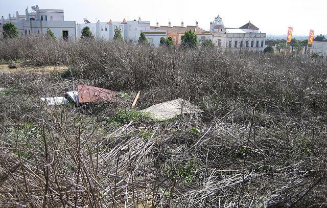 Montelirio, un dolmen abandonado