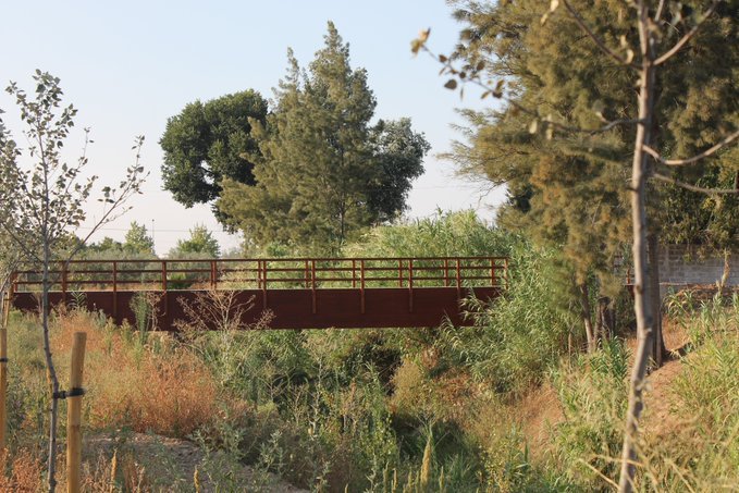 La CHG adjudica por 78.000 euros el mantenimiento y la vigilancia de la restauración ambiental del arroyo Riopudio (Sevilla)