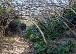 Quinta jornada de desbroce del Camino de los Valles