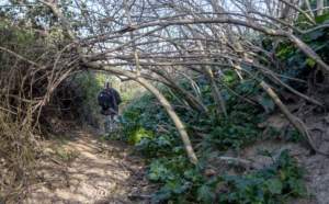 Quinta jornada de desbroce del Camino de los Valles