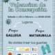 Recogida voluntaria de residuos en Valencina