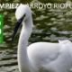 Nueva jornada de limpieza en el Riopudio