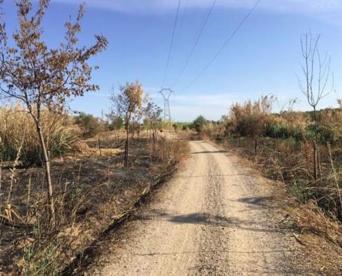 EL ESTADO DE ABANDONO DEL PARQUE METROPOLITANO DEL RIOPUDIO SE AGUDIZA MIENTRAS SIGUE SIN SOLUCIONARSE SU GESTIÓN