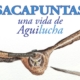 Presentación del libro “El Aguilucho Cenizo, ave del año 2023. La historia de Sacapuntas”