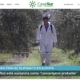 Europa prorroga otros diez años el uso del herbicida glifosato