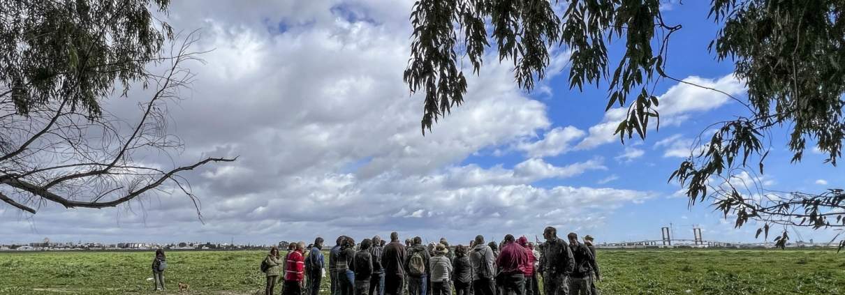 La BIODIVERSIDAD: tema principal del III Paseo por Tablada