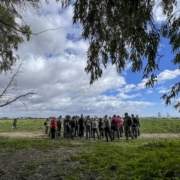 La BIODIVERSIDAD: tema principal del III Paseo por Tablada