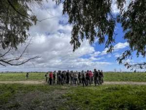 La BIODIVERSIDAD: tema principal del III Paseo por Tablada