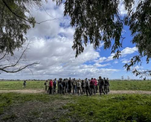 La BIODIVERSIDAD: tema principal del III Paseo por Tablada