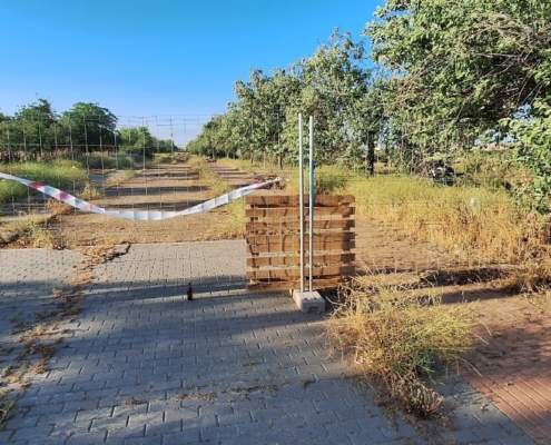 Las obras de Isla Natura agravan la situación del abandonado parque de Palmas Altas