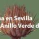 Exposición en el Centro Cívico de Torreblanca: "Doñana en Sevilla"