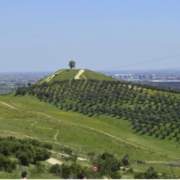 Plataforma ciudadana CERROS LIBRES DE ANTENAS