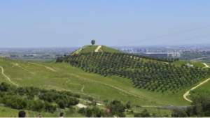 Plataforma ciudadana CERROS LIBRES DE ANTENAS