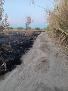 Incendio en una de las orillas de arroyo Riopudio