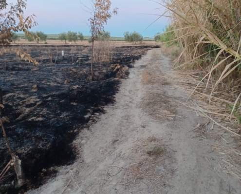 Incendio en una de las orillas de arroyo Riopudio