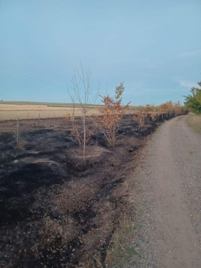 Incendio en una de las orillas de arroyo Riopudio