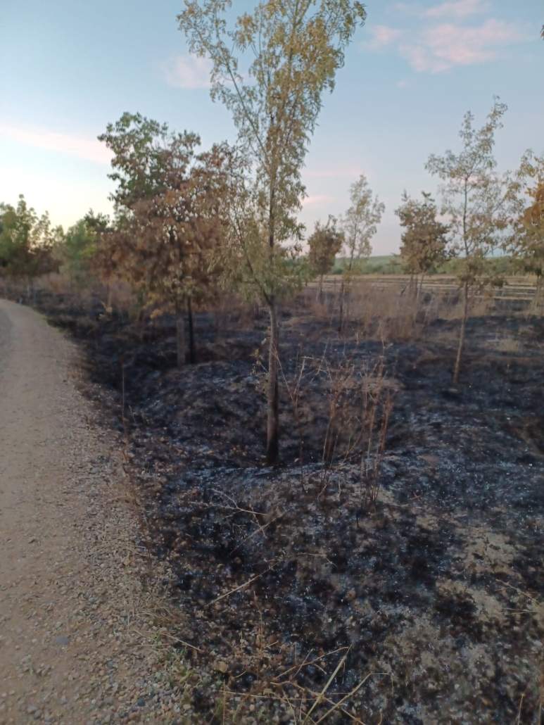 Incendio en una de las orillas de arroyo Riopudio