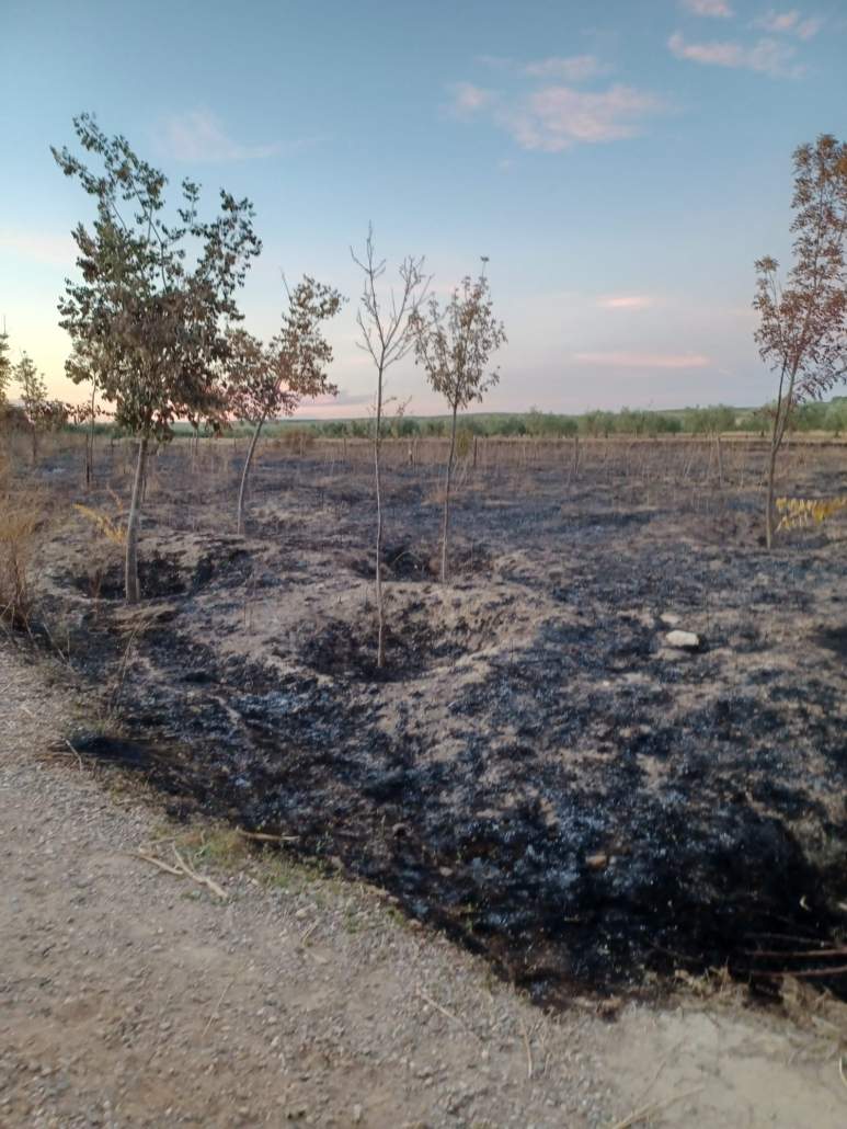 Incendio en una de las orillas de arroyo Riopudio