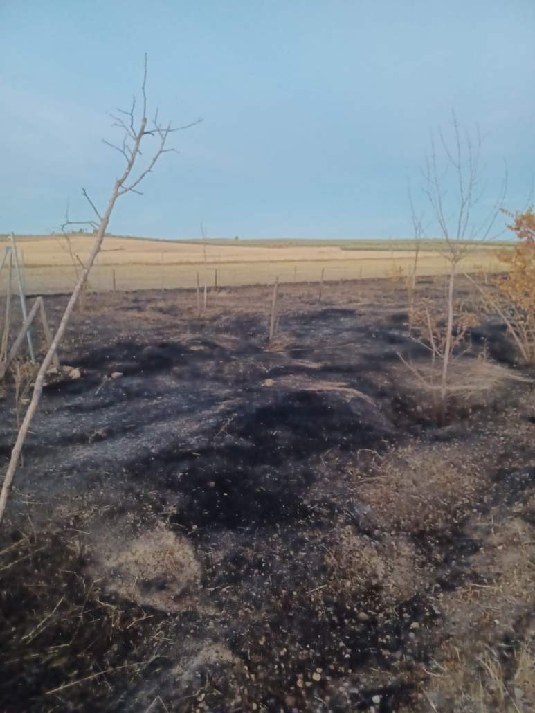 Incendio en una de las orillas de arroyo Riopudio