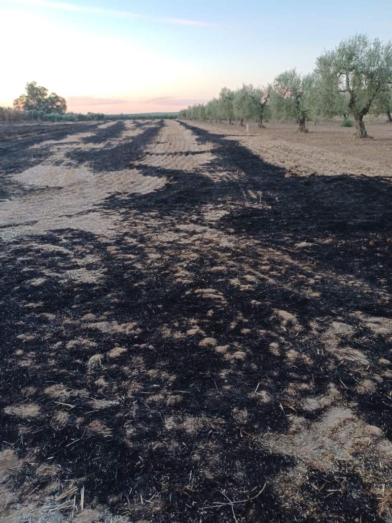 Incendio en una de las orillas de arroyo Riopudio