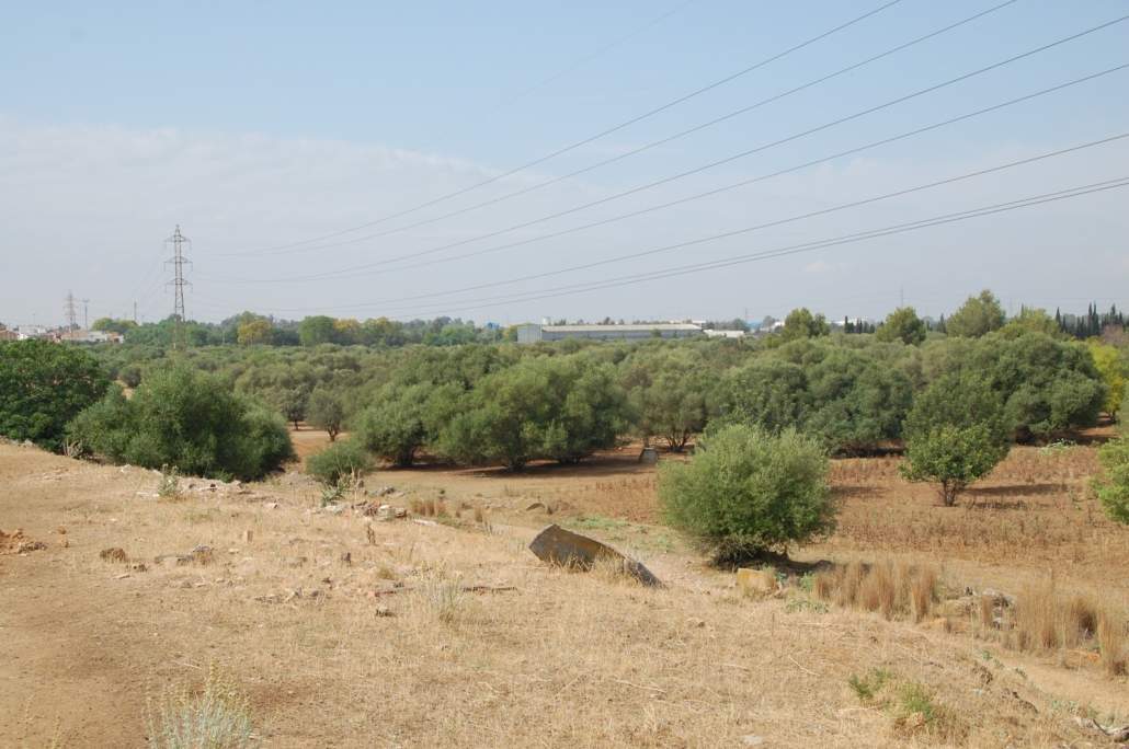 La asociación "Espacio verde cortijo del Cuarto" se opone al proyecto "Quarto"