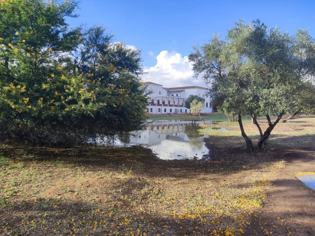 La asociación "Espacio verde cortijo del Cuarto" se opone al proyecto "Quarto"