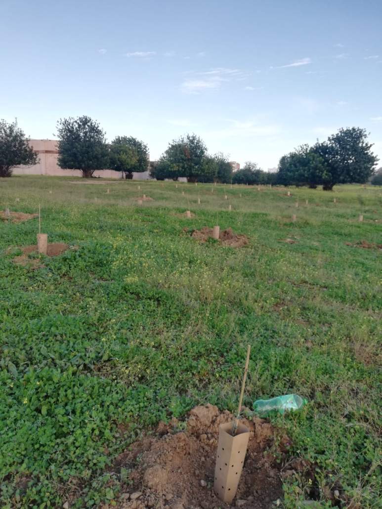 La asociación "Espacio verde cortijo del Cuarto" se opone al proyecto "Quarto"