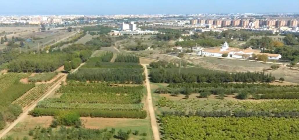 La asociación "Espacio verde cortijo del Cuarto" se opone al proyecto "Quarto"