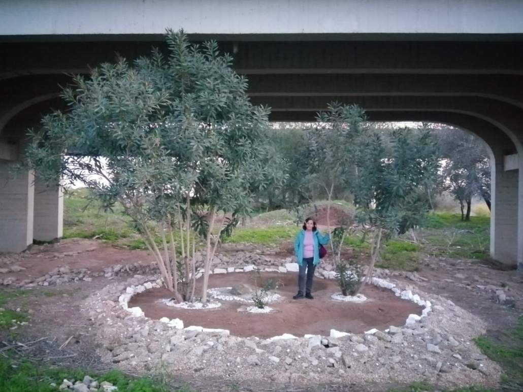 Orden y caos bajo el viaducto del puente de hierro de San Juan de Aznalfarache en Tablada