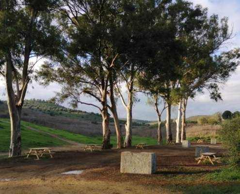 Inaugurado el Parque de Santa Brígida, en Camas