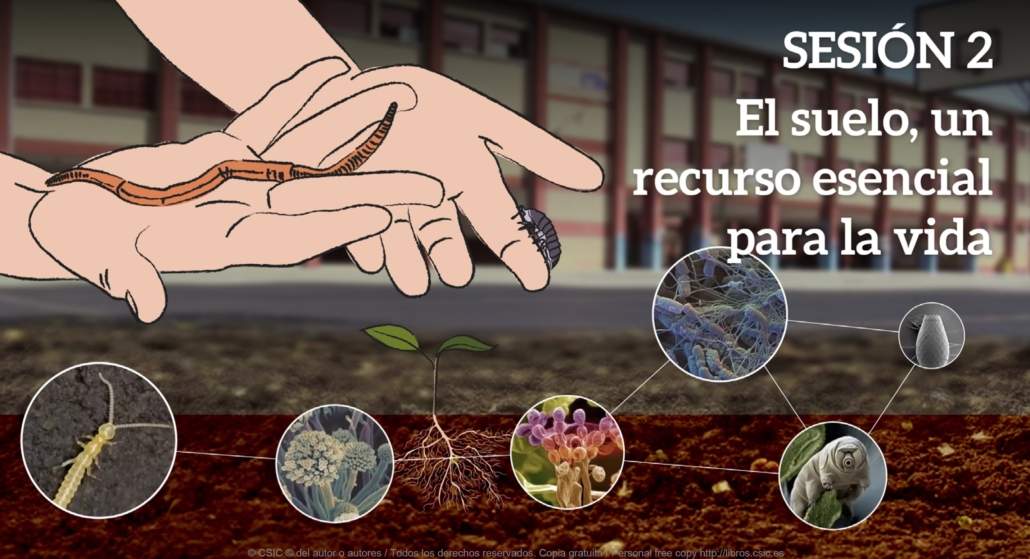 Guía sobre jardines escolares sostenibles