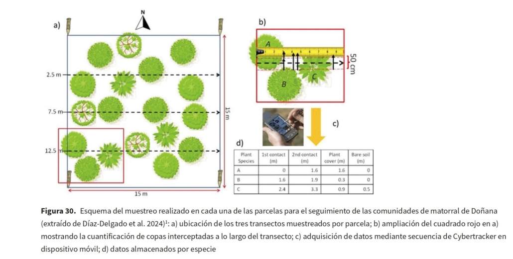 Estado de la biodiversidad en Doñana. Memoria 2024