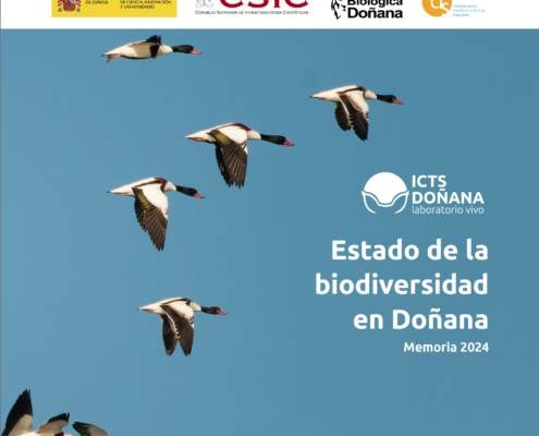 Estado de la biodiversidad en Doñana. Memoria 2024