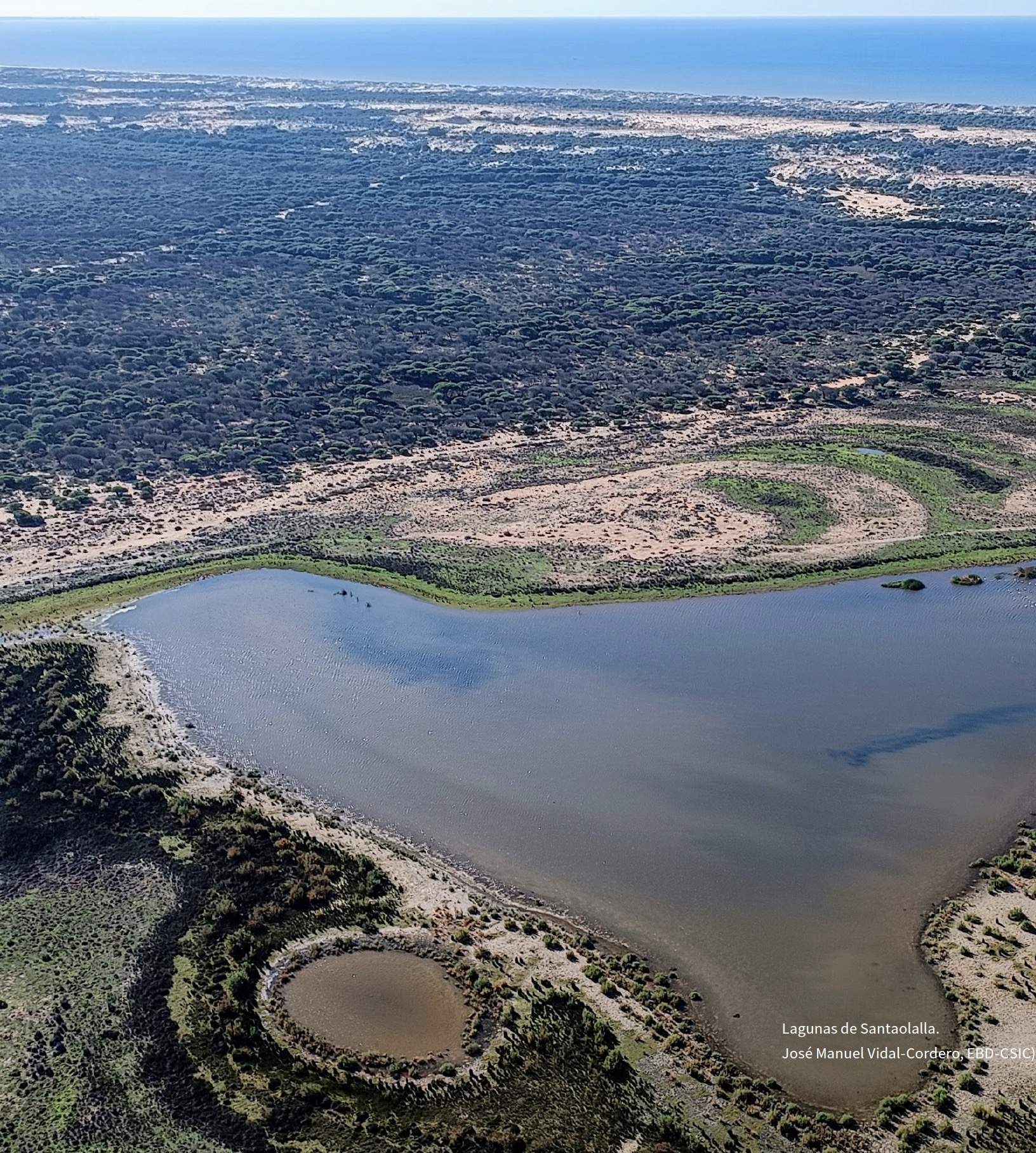 Estado de la biodiversidad en Doñana. Memoria 2024