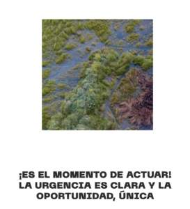 Manifiesto: Humedales aliados frente al cambio climático