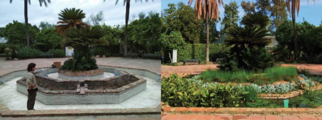 Las fuentes urbanas como puntos de biodiversidad