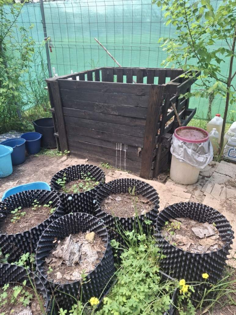 Viverito forestal educativo de plantas autóctonas en San Juan de Aznalfarache