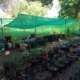 Viverito forestal educativo de plantas autóctonas en San Juan de Aznalfarache