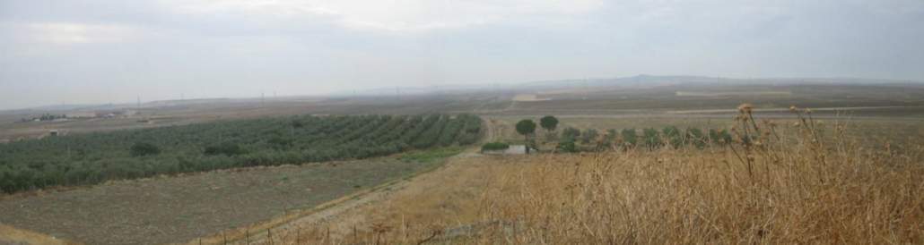 58,22 hectáreas de suelos rurales en zonas de alta productividad agrícola en "riesgo fotovoltaico".