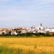 58,22 hectáreas de suelos rurales en zonas de alta productividad agrícola en "riesgo fotovoltaico".