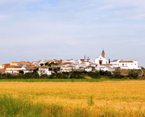 58,22 hectáreas de suelos rurales en zonas de alta productividad agrícola en "riesgo fotovoltaico".