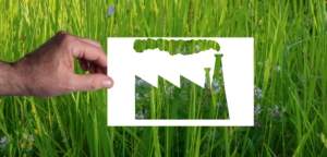 Desvinculación del territorio y greenwashing de las fotovoltaicas Desvinculación del territorio y greenwashing de las fotovoltaicas