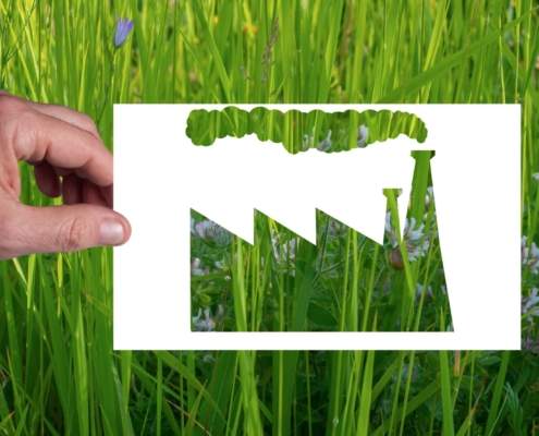 Desvinculación del territorio y greenwashing de las fotovoltaicas