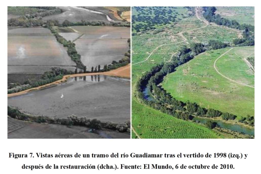 Tesis doctoral sobre infraestructura verde territorial en sistemas fluviales