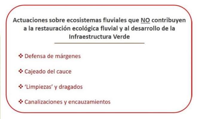Tesis doctoral sobre infraestructura verde territorial en sistemas fluviales