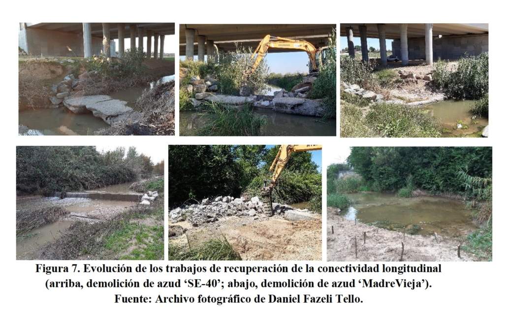 Tesis doctoral sobre infraestructura verde territorial en sistemas fluviales