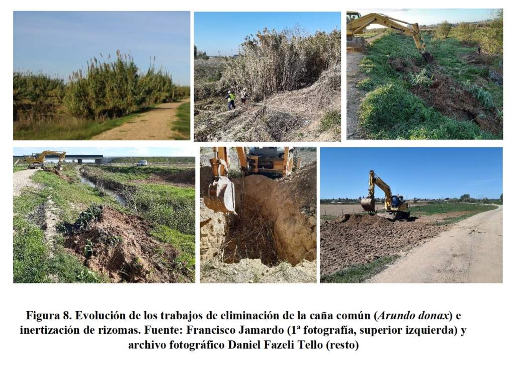 Tesis doctoral sobre infraestructura verde territorial en sistemas fluviales