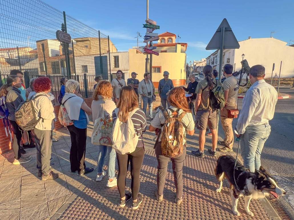 34 especies de aves, en Salteras, en un par de horas