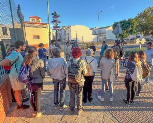 34 especies de aves, en Salteras, en un par de horas 34 especies de aves, en Salteras, en un par de horas