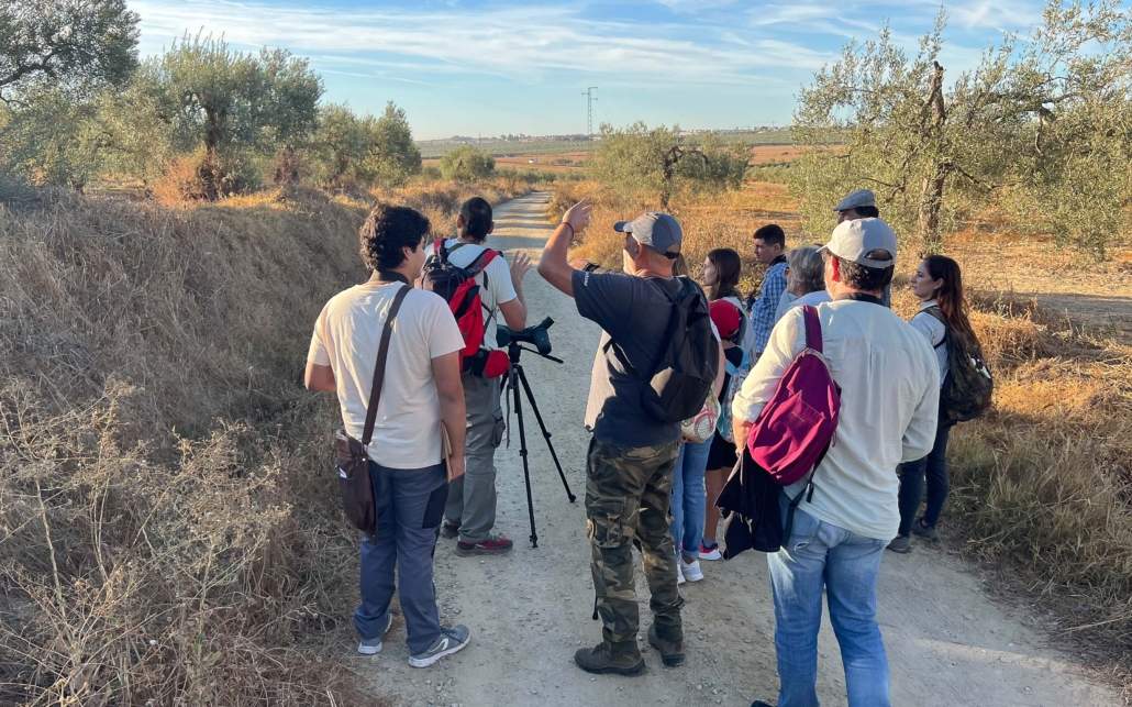 34 especies de aves, en Salteras, en un par de horas